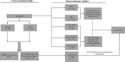 GPHB5 Is a Biomarker in Women With Metabolic Syndrome: Results From Cross-Sectional and Intervention Studies